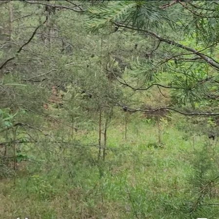 a bathroom with a small yard