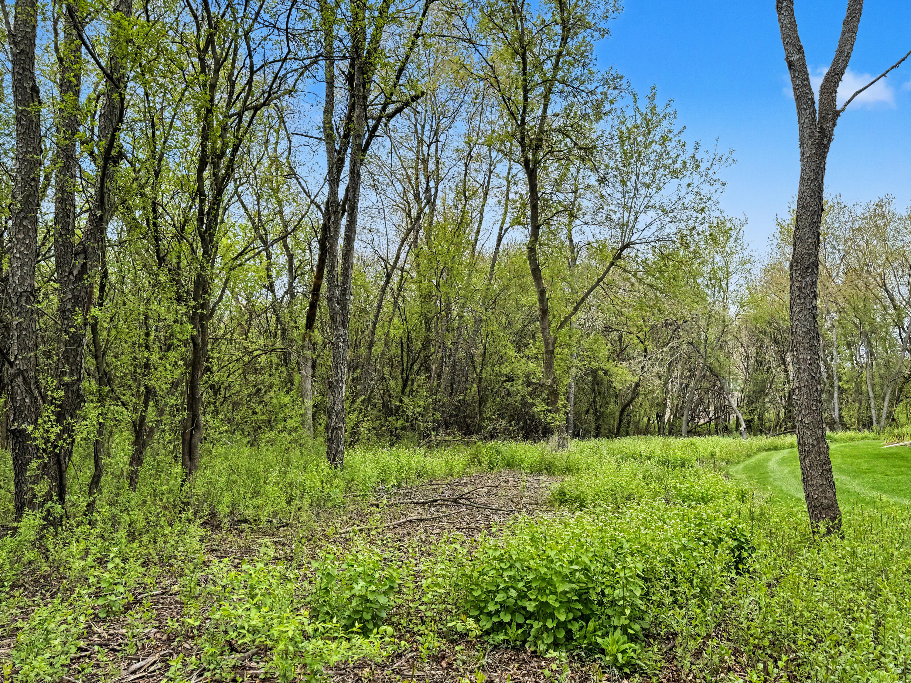 W291-s5245 Ridgefield Road Waukesha, WI 53189 - Photo 29 of 44 Edge of the Woods!