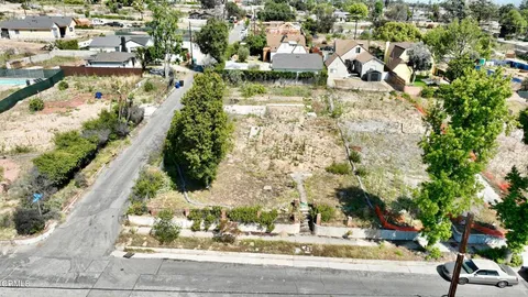 a view of a yard with plants and large trees