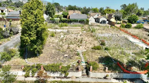 a view of a yard with plants and large trees