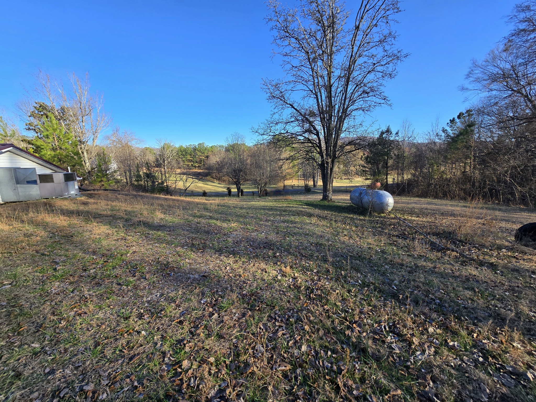 321 John Locke Road McMinnville, TN 37110 - Photo 52 of 57 a view of dirt yard with a large tree
