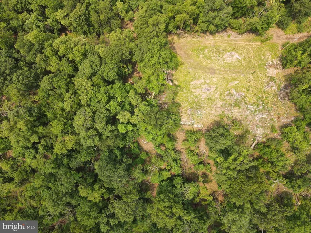 a view of a big yard with lots of bushes