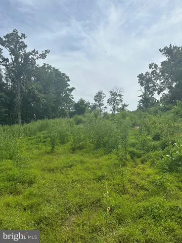 a view of a field of grass and trees