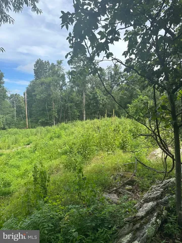 a view of outdoor space with deck and tree