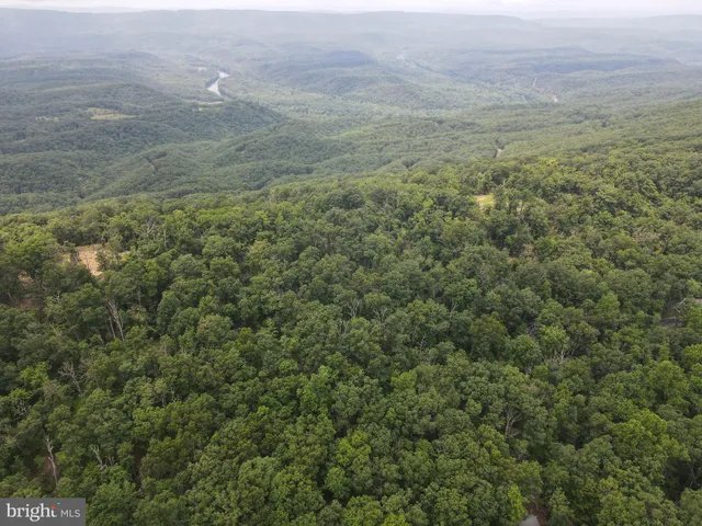 a view of a field with an ocean and trees