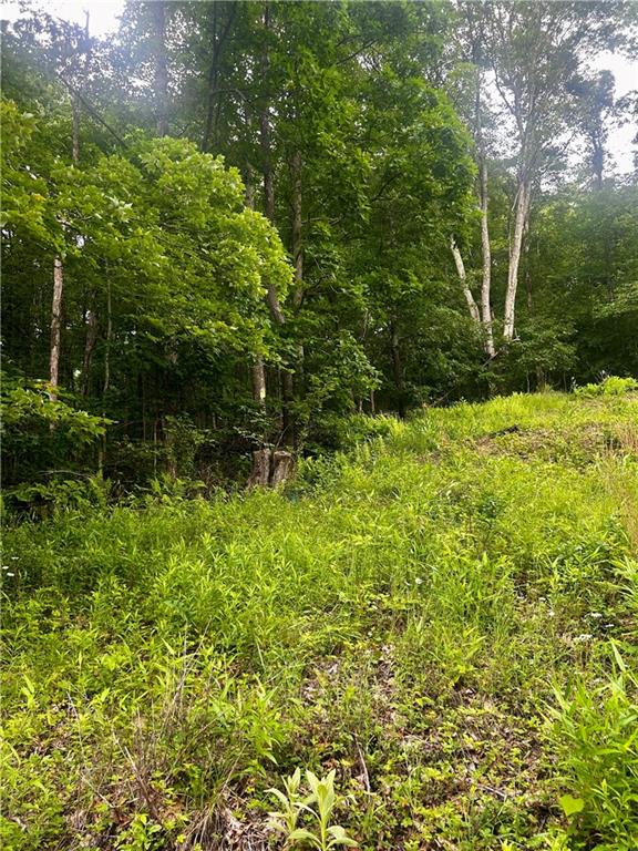 629 Vanderbilt Street Commodore, PA 15729 - Photo 2 of 5 a view of a garden