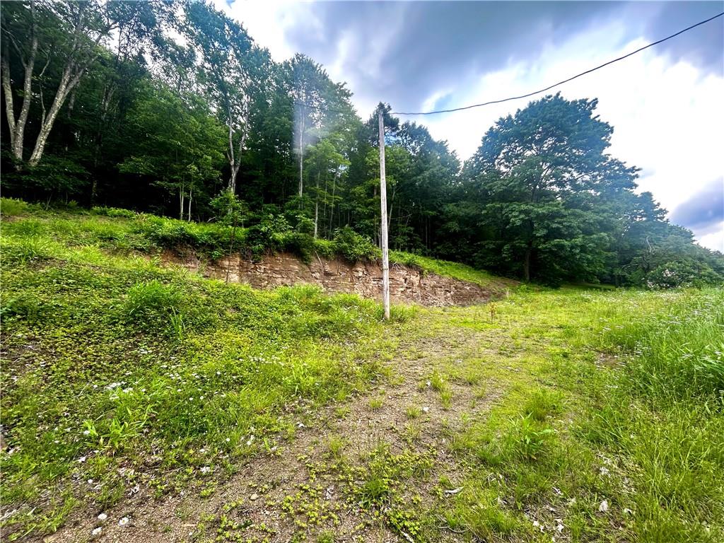 629 Vanderbilt Street Commodore, PA 15729 - Photo 3 of 5 a view of a garden with a tree