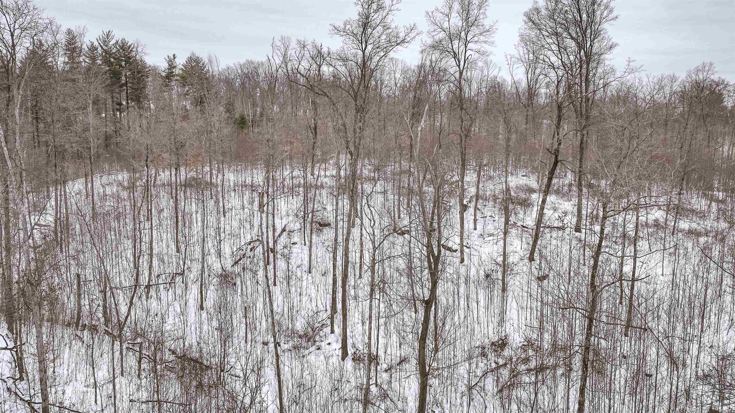 0 Wright Bloomfield, IN 47424 - Photo 13 of 20