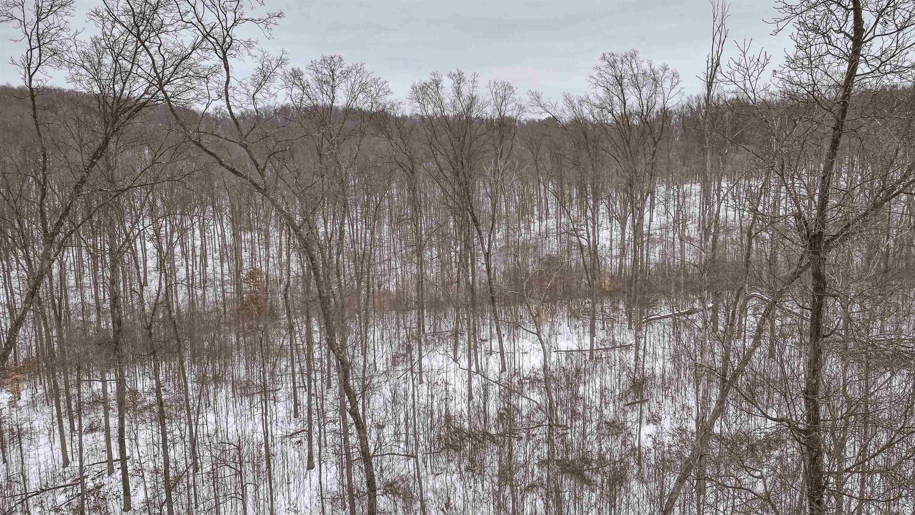 0 Wright Bloomfield, IN 47424 - Photo 14 of 20