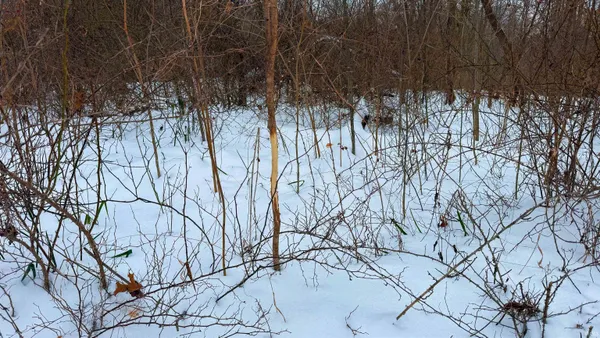 $199,900 | 0 Wright, Bloomfield, IN 47424