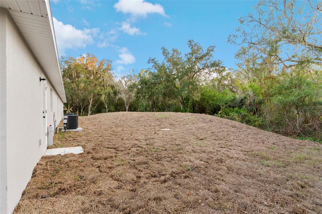 603 Moose Lodge Road, Unit A Bartow, FL 33830 - Photo 41 of 45 a view of a backyard of the house