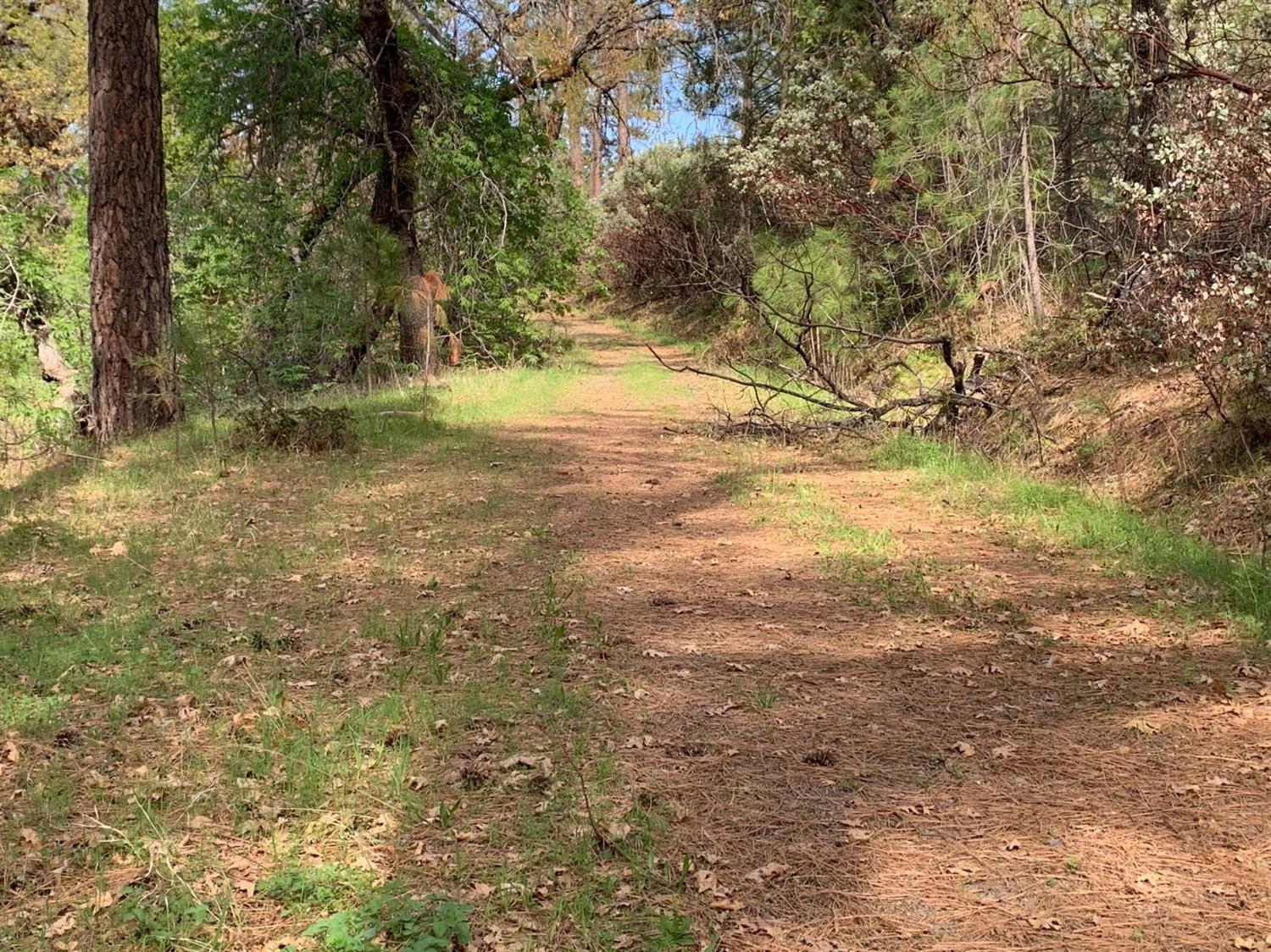 0 Old Schoolhouse Road Somerset, CA 95684 - Photo 1 of 5