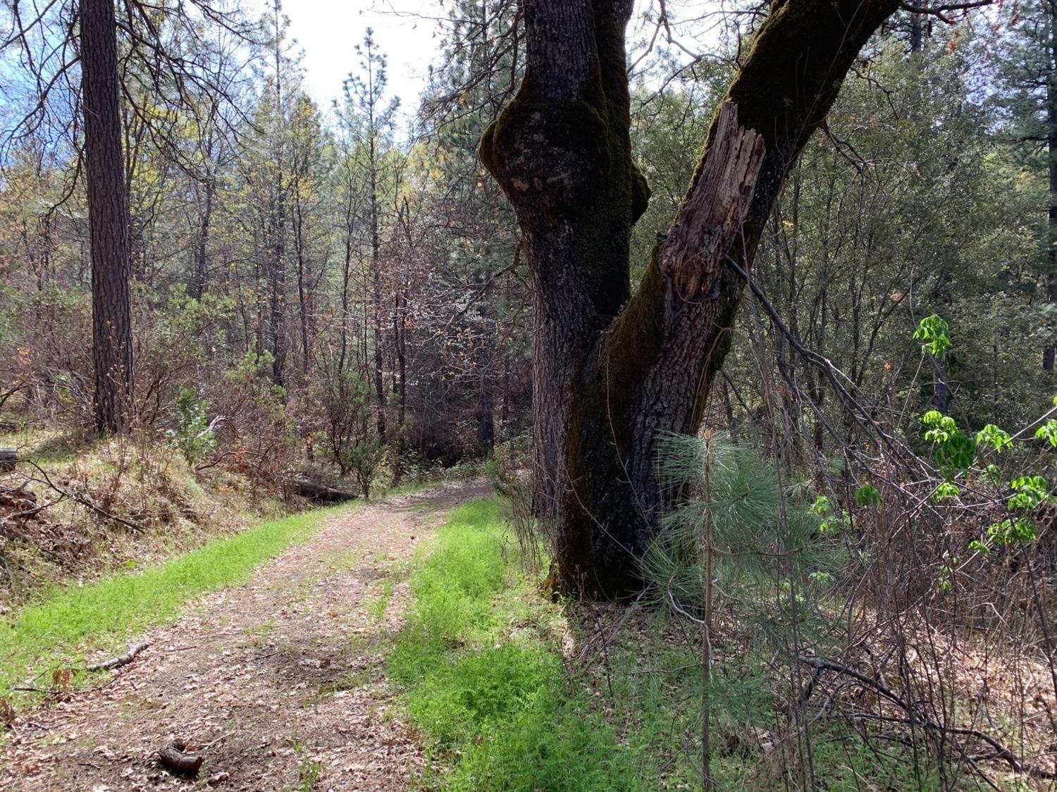 0 Old Schoolhouse Road Somerset, CA 95684 - Photo 2 of 5