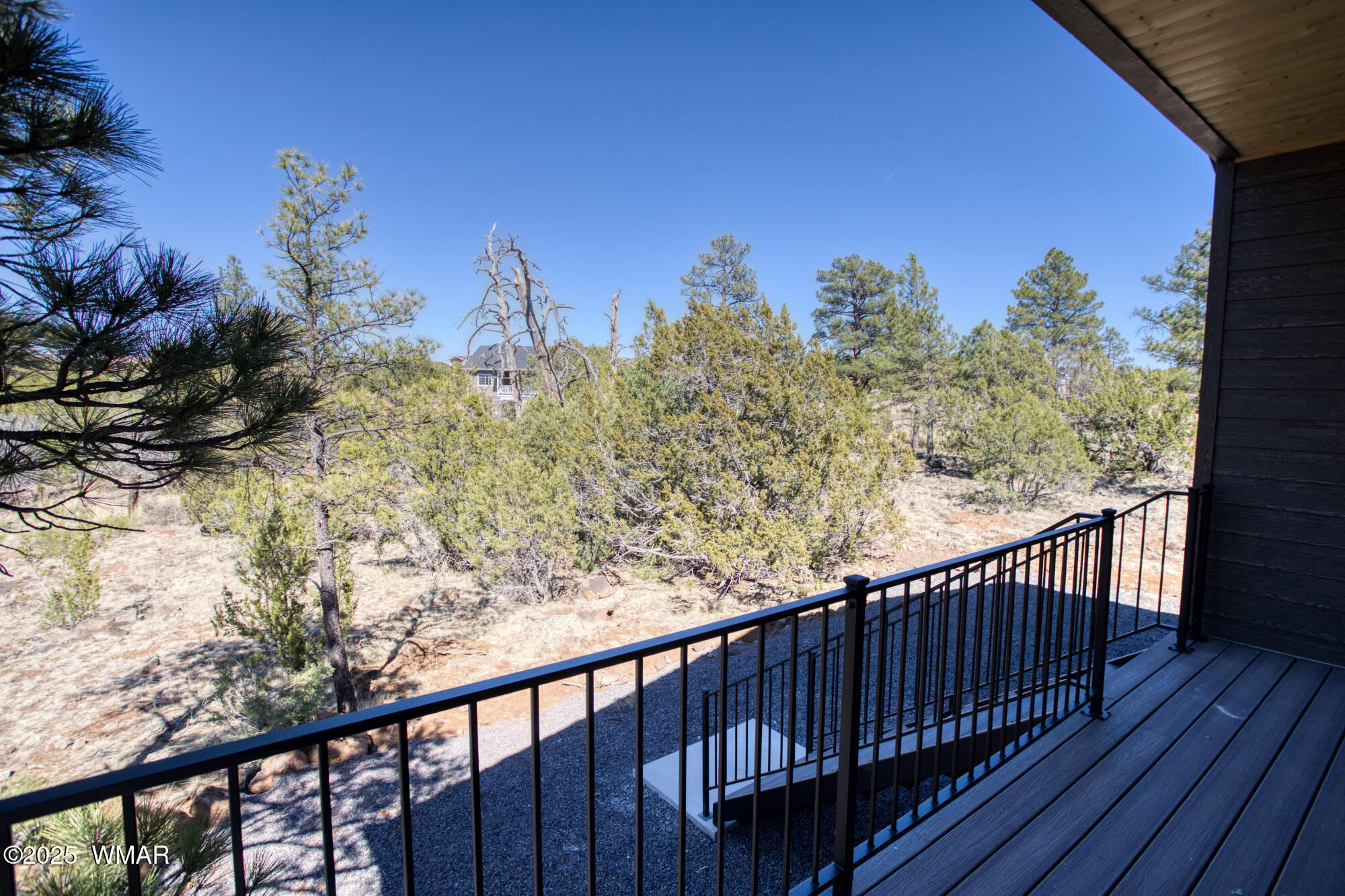 2080 East Bluff Ridge Road Show Low, AZ 85901 - Photo 22 of 23 back yard