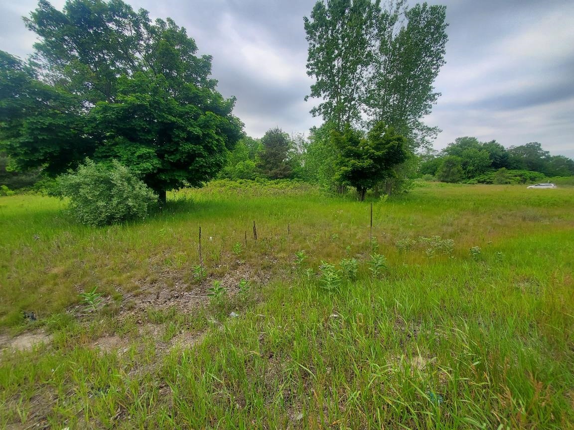 7205 East Pickard Road, Unit LOT: 12 Mount Pleasant, MI 48858 - Photo 6 of 6