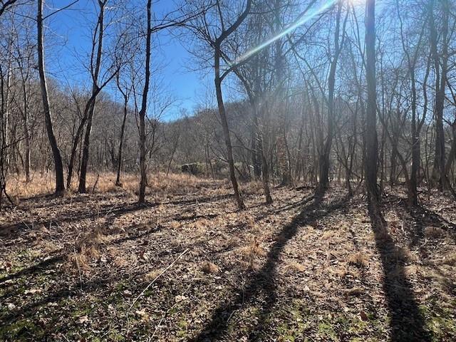 112 River Road East Millsboro, PA 15433 - Photo 7 of 17 a view of outdoor space with lots of trees
