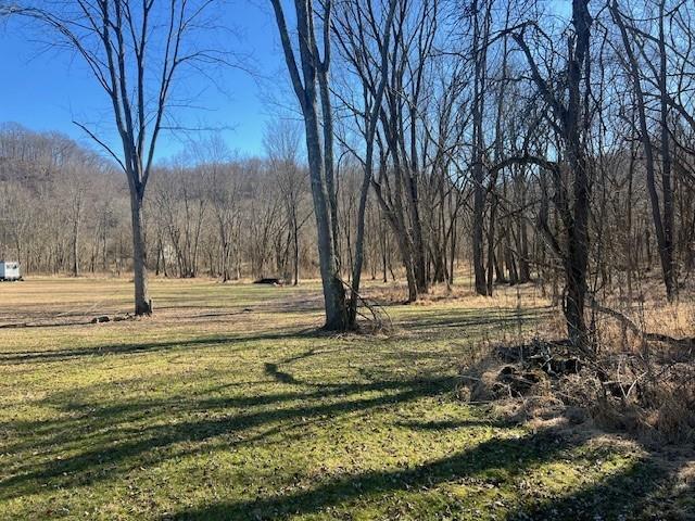 112 River Road East Millsboro, PA 15433 - Photo 10 of 17 a view of yard with large trees