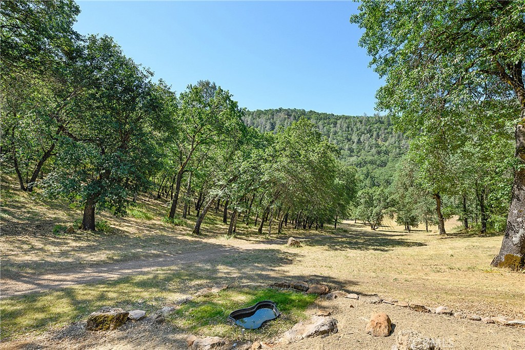 13449 Anderson Road Lower Lake, CA 95457 - Photo 38 of 61