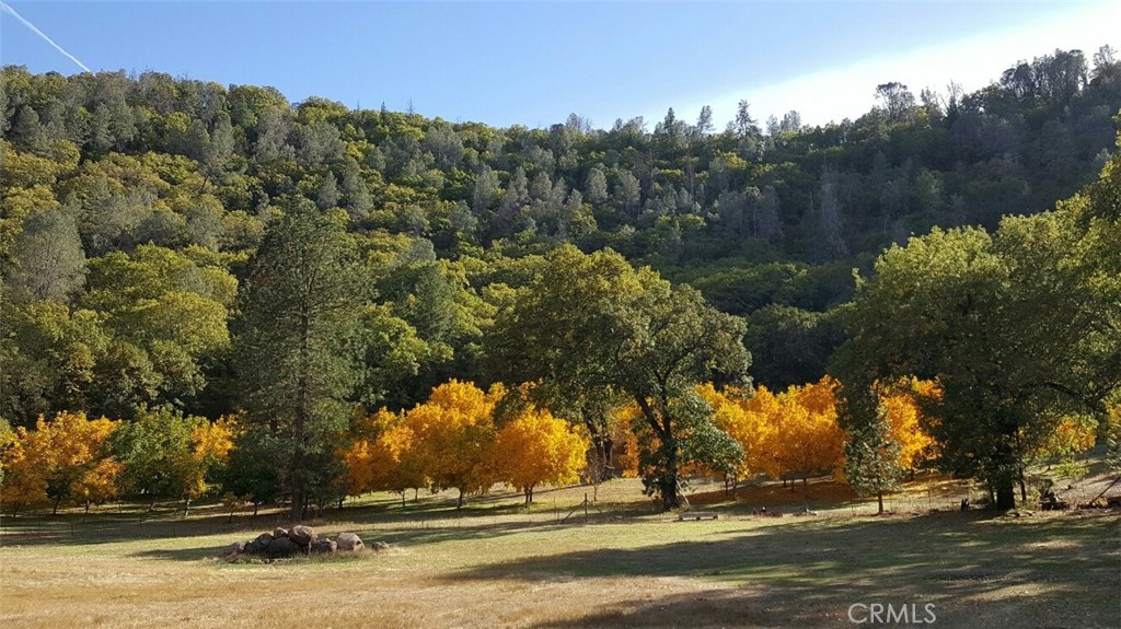 13449 Anderson Road Lower Lake, CA 95457 - Photo 4 of 8