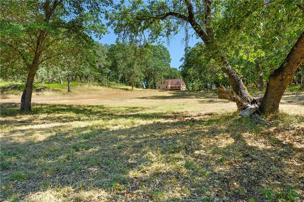 13449 Anderson Road Lower Lake, CA 95457 - Photo 48 of 61