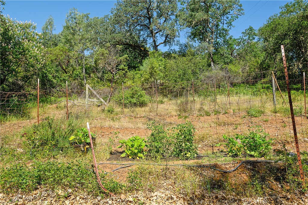 13449 Anderson Road Lower Lake, CA 95457 - Photo 50 of 61