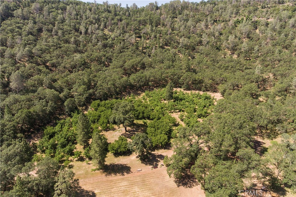 13449 Anderson Road Lower Lake, CA 95457 - Photo 54 of 61