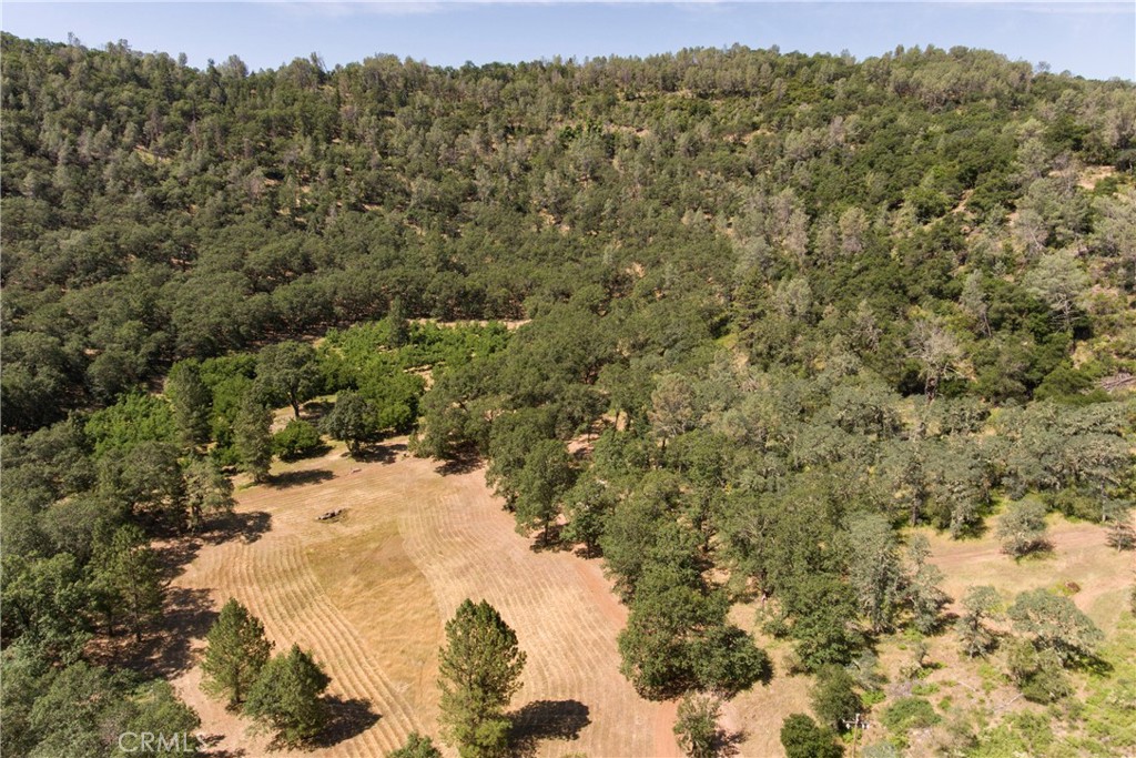 13449 Anderson Road Lower Lake, CA 95457 - Photo 58 of 61