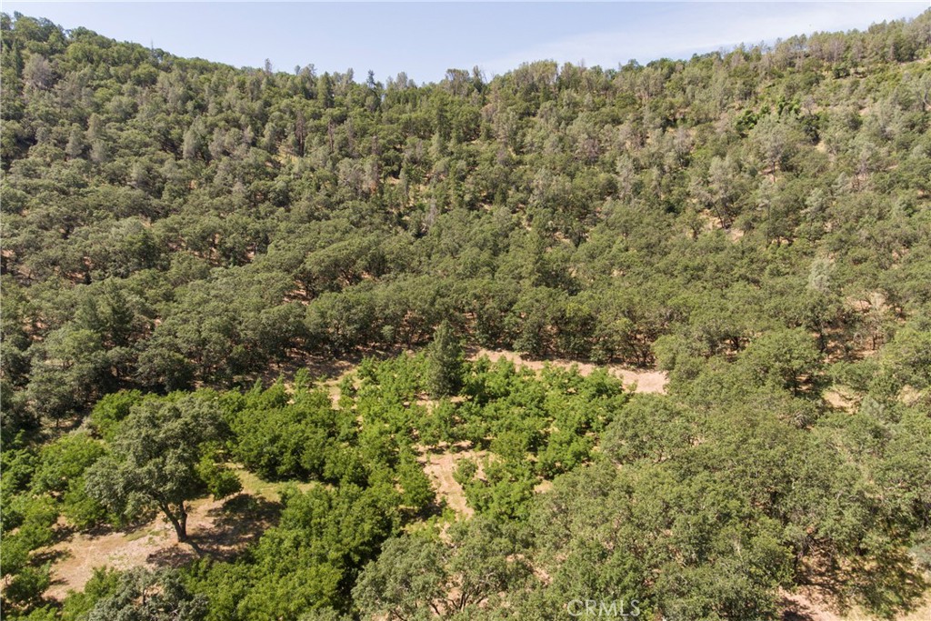 13449 Anderson Road Lower Lake, CA 95457 - Photo 59 of 61