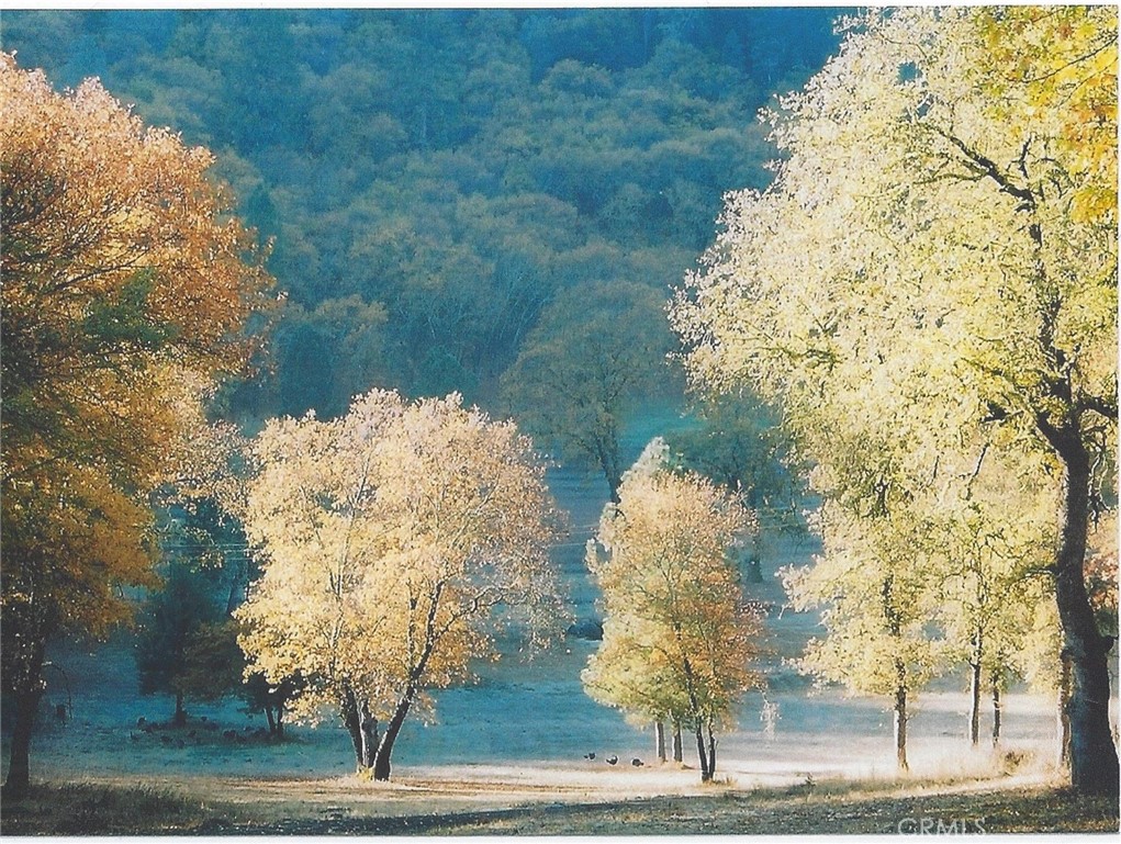 13449 Anderson Road Lower Lake, CA 95457 - Photo 8 of 8