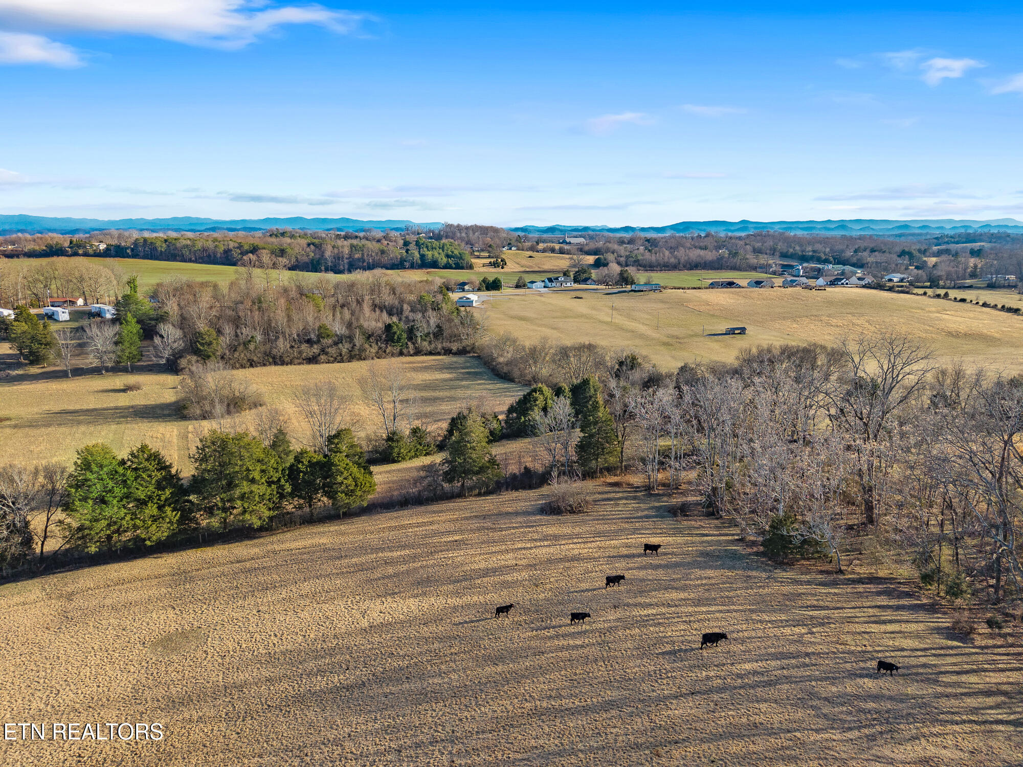327 Thompson Road Madisonville, TN 37354 - Photo 11 of 18 9