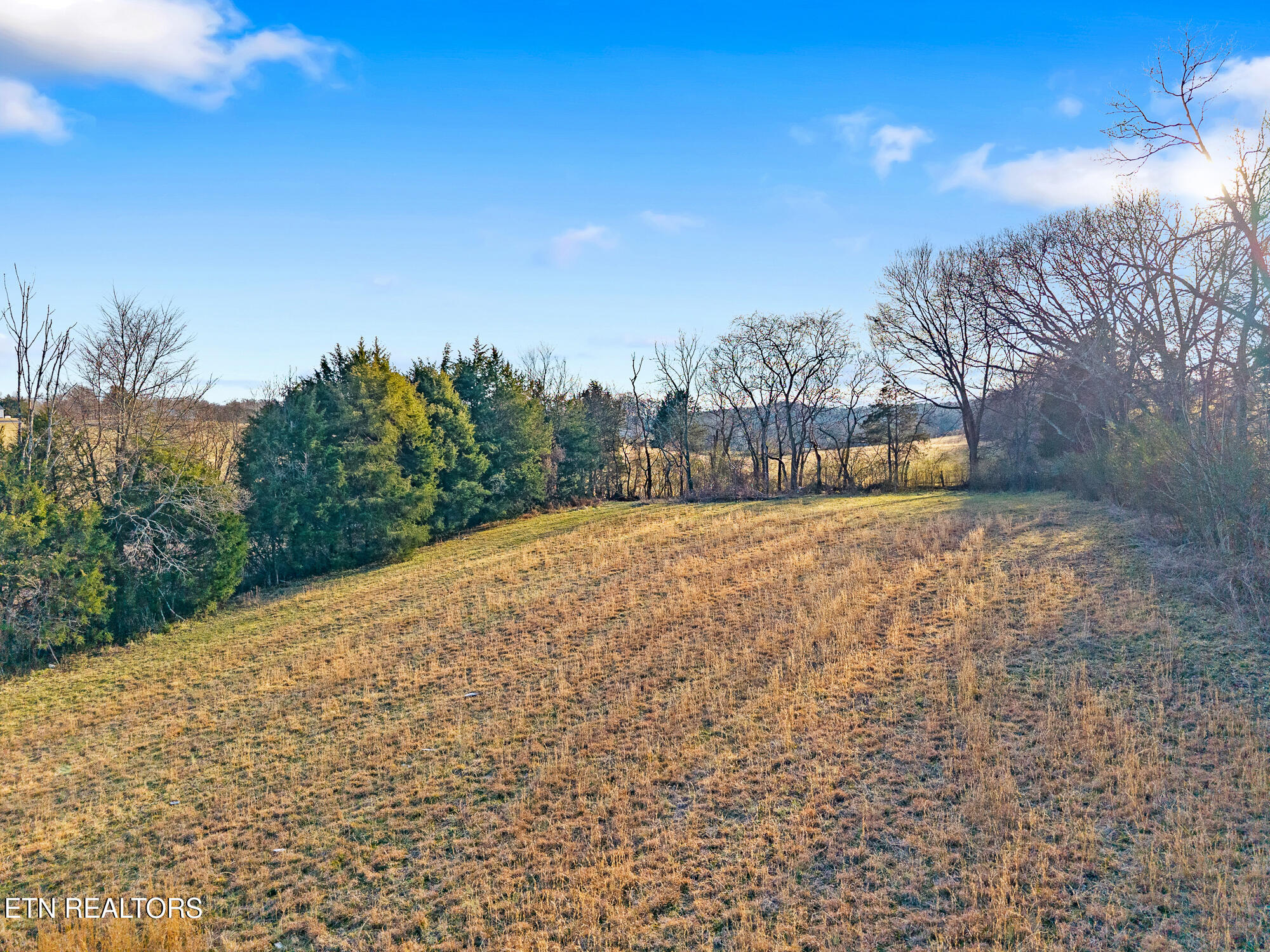 327 Thompson Road Madisonville, TN 37354 - Photo 12 of 18 10