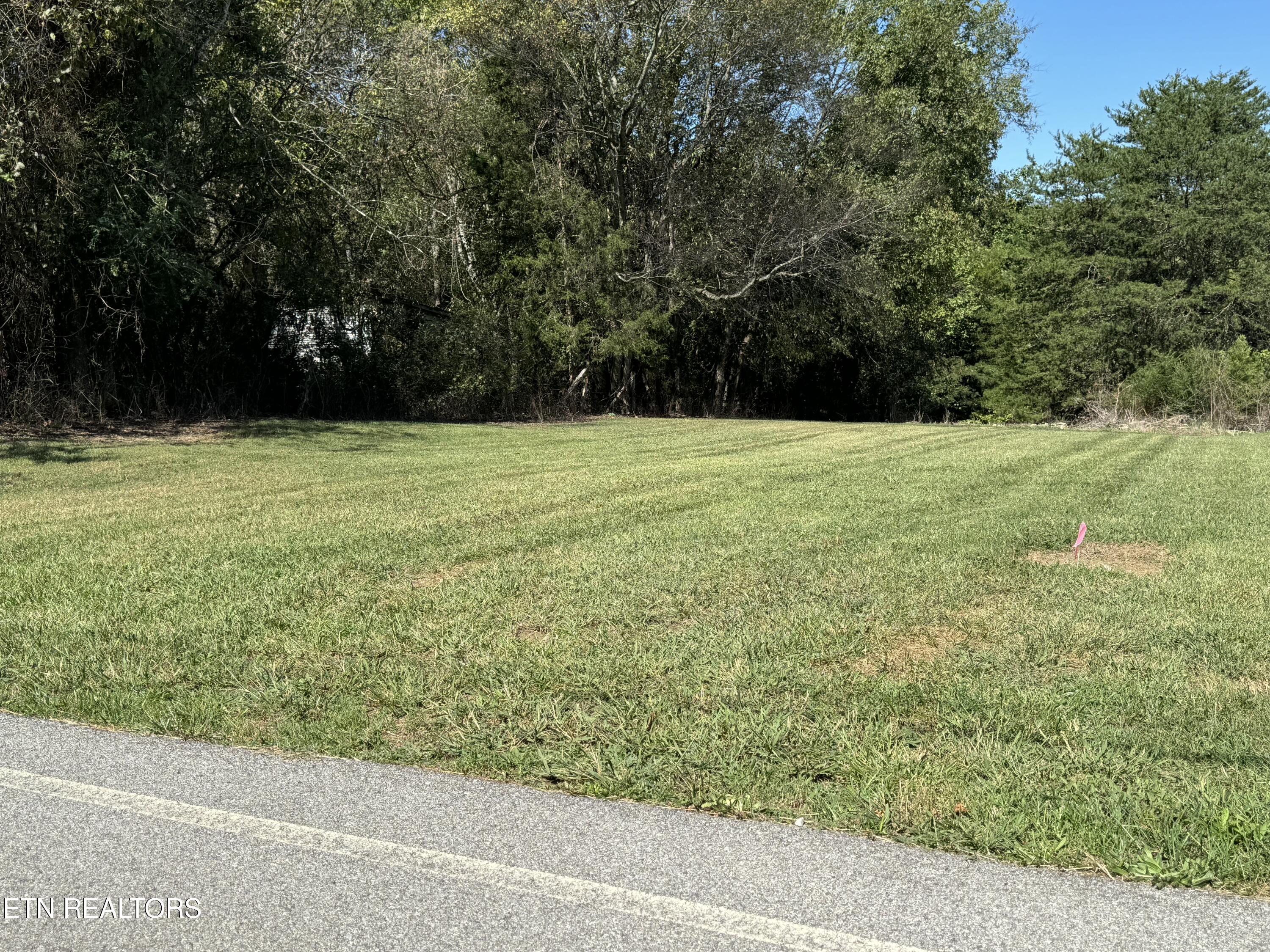 327 Thompson Road Madisonville, TN 37354 - Photo 14 of 18 Road Frontage