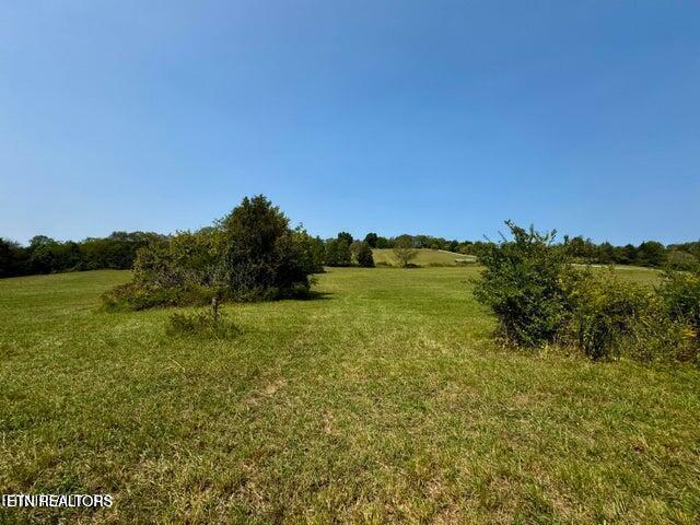 327 Thompson Road Madisonville, TN 37354 - Photo 15 of 18 Driveway / Utility Access Strip