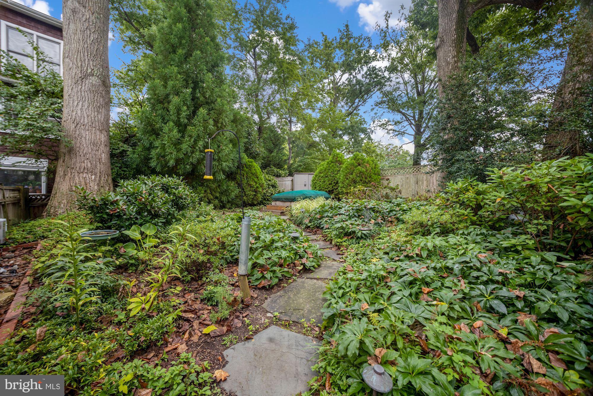 6820 Meadow Lane Chevy Chase, MD 20815 - Photo 44 of 54 Upper terrace