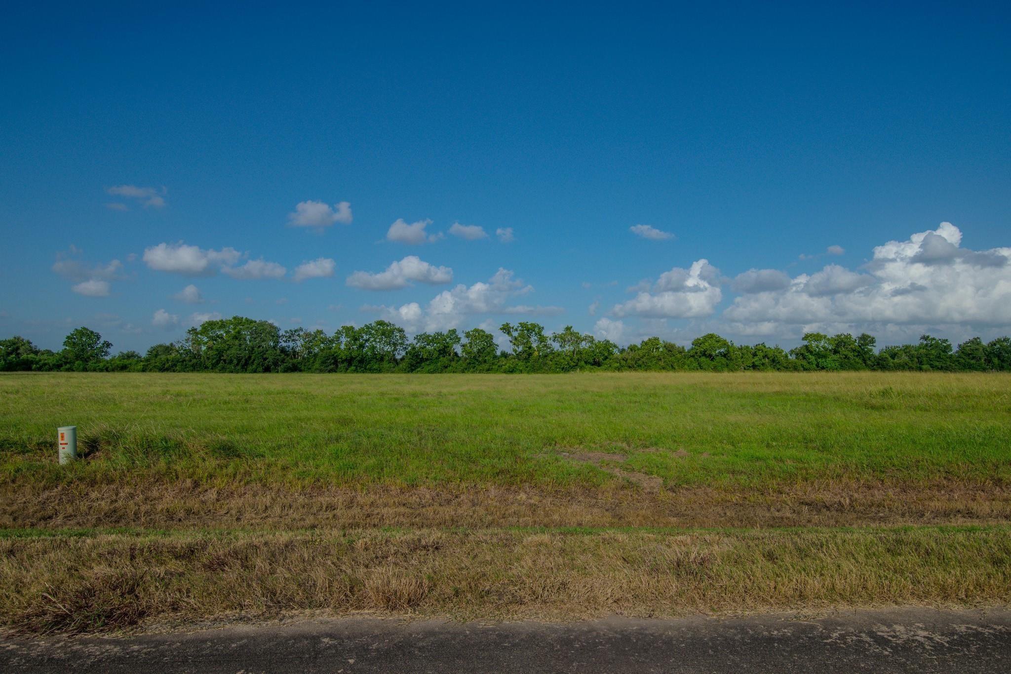 171 Brahman Trail Angleton, TX 77515 - Photo 2 of 4