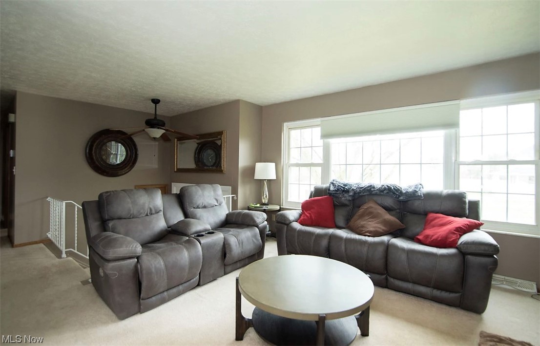 10005 Holcomb Road Newton Falls, OH 44444 - Photo 6 of 26 Gallery Image 6