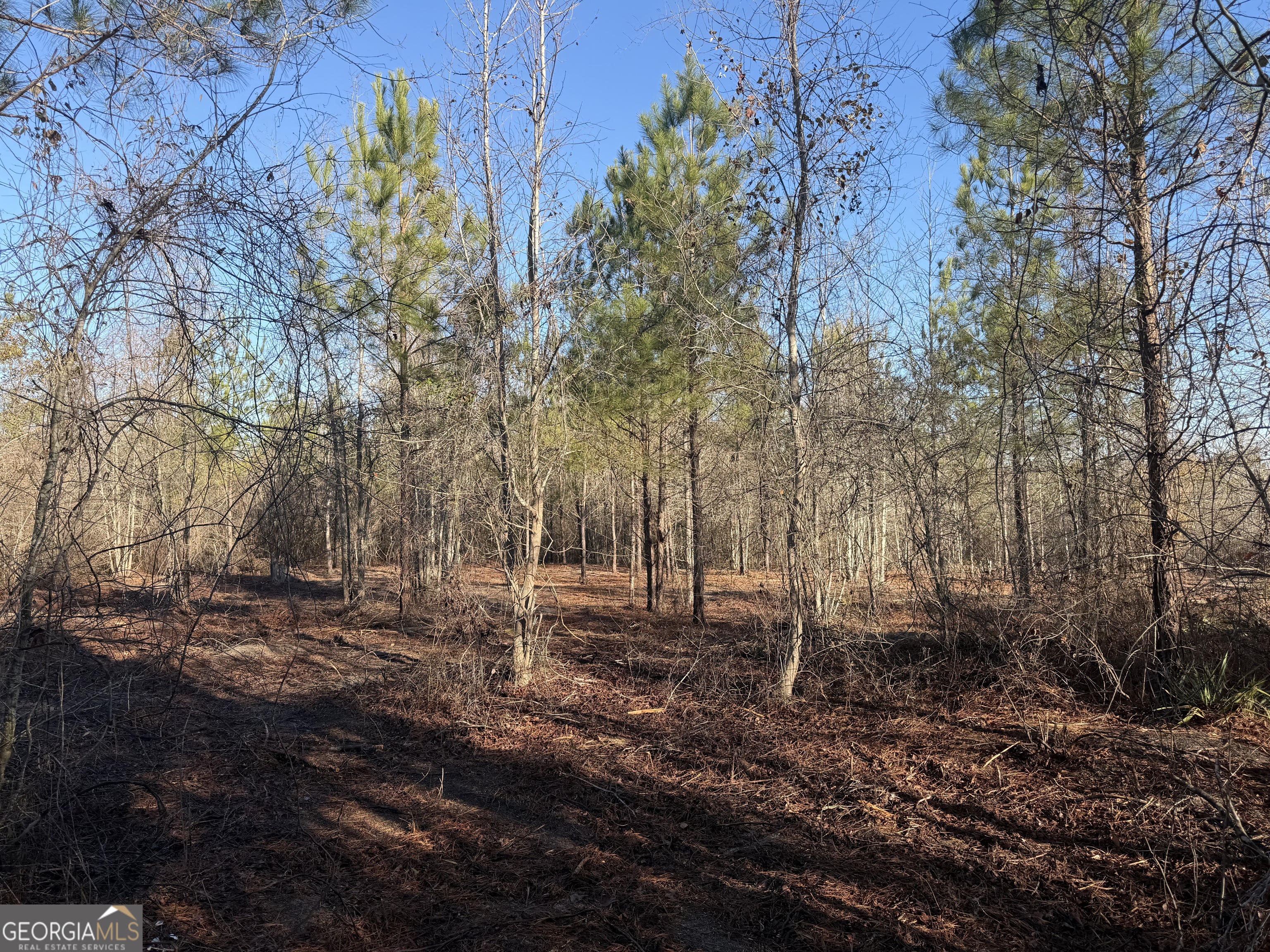 19 Sr Dublin, GA 31021 - Photo 11 of 36