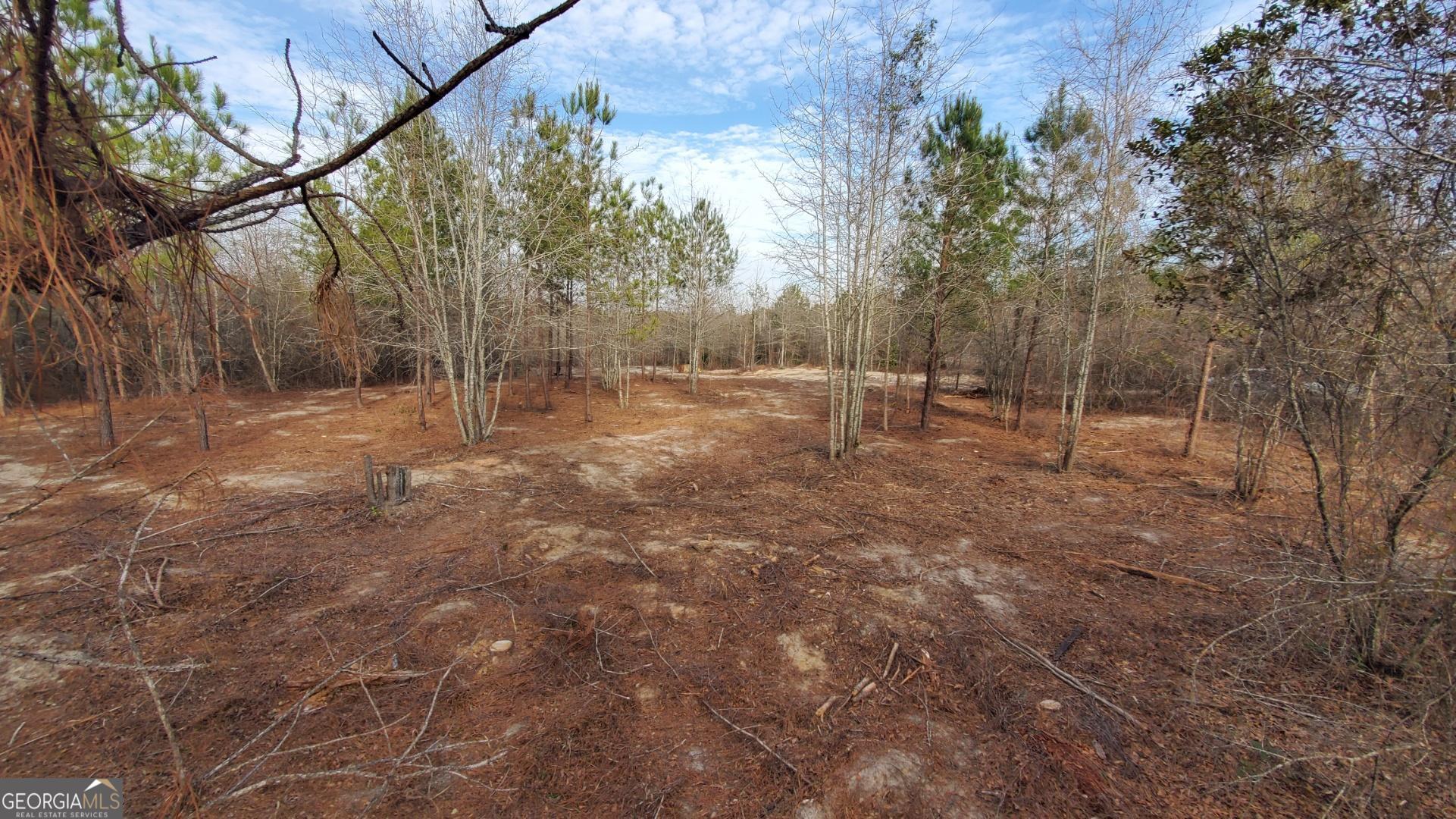 19 Sr Dublin, GA 31021 - Photo 13 of 36