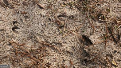 19 Sr Dublin, GA 31021 - Photo 16 of 36