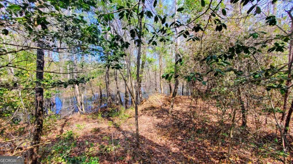 19 Sr Dublin, GA 31021 - Photo 2 of 36