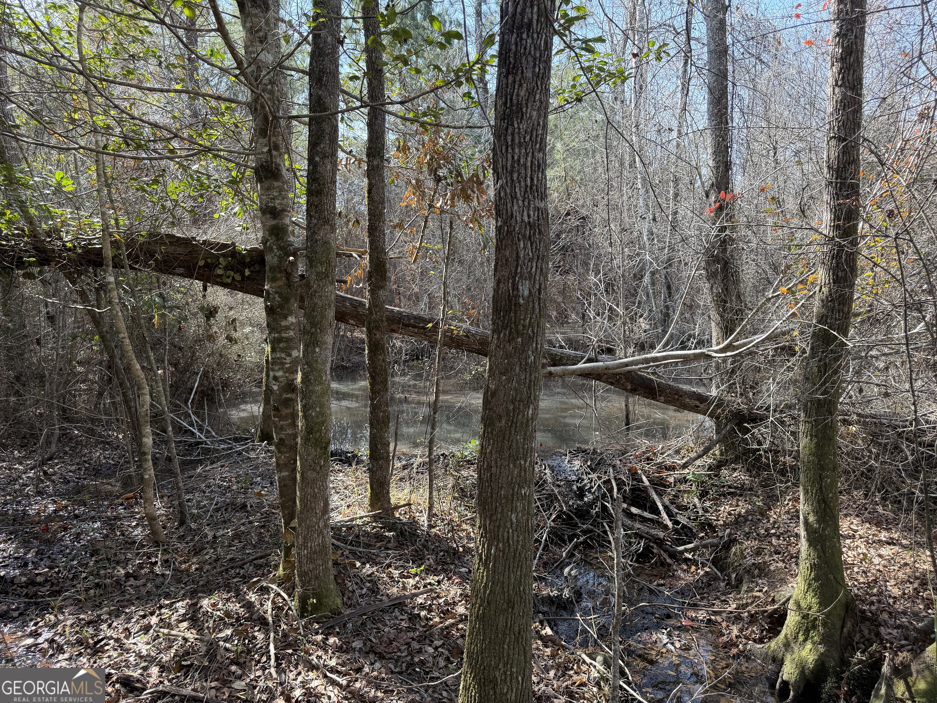 19 Sr Dublin, GA 31021 - Photo 22 of 36