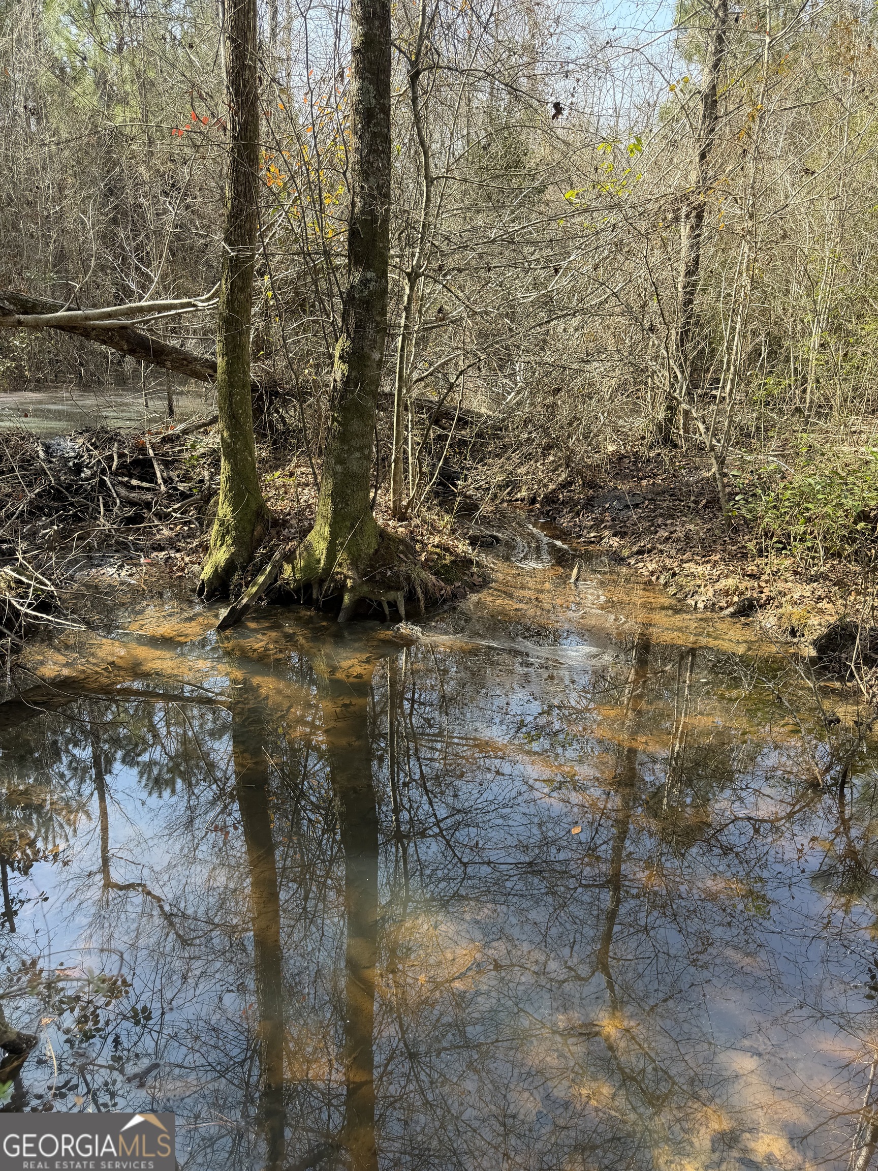 19 Sr Dublin, GA 31021 - Photo 24 of 36