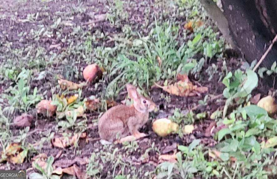 19 Sr Dublin, GA 31021 - Photo 36 of 36