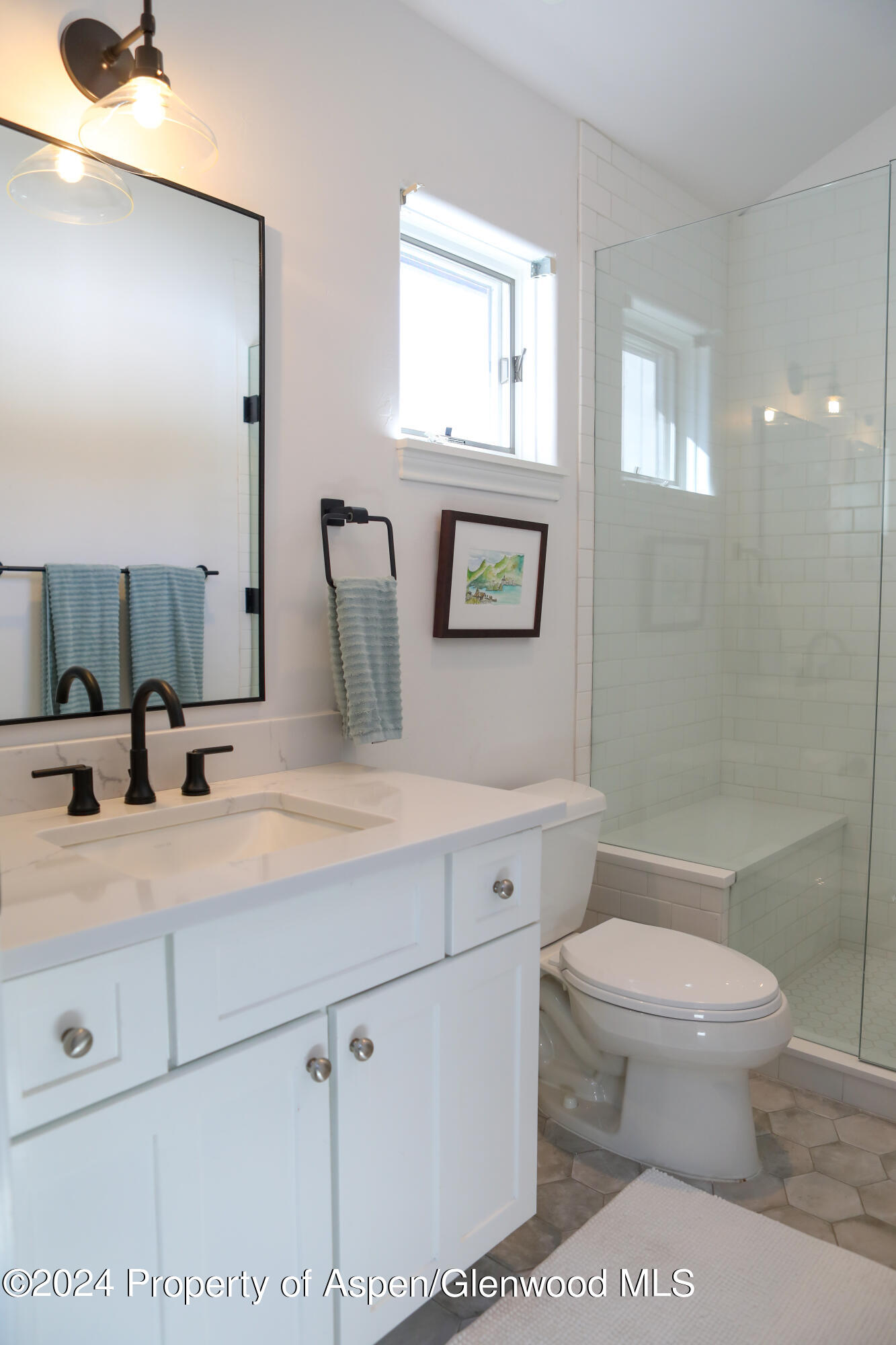 364 Summerset Lane Basalt, CO 81621 - Photo 15 of 17 5G3A8227