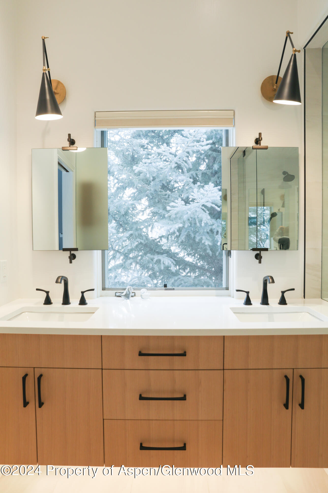 364 Summerset Lane Basalt, CO 81621 - Photo 2 of 17 5G3A0029