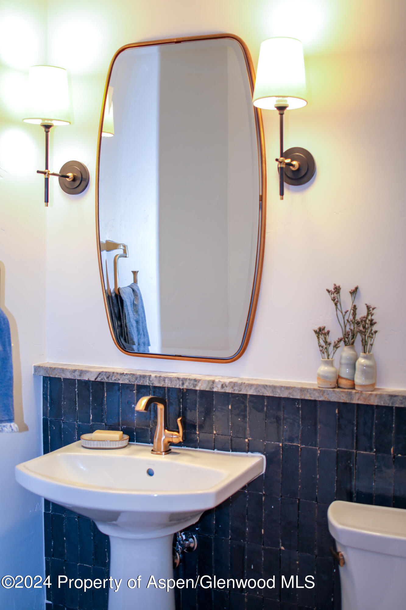 364 Summerset Lane Basalt, CO 81621 - Photo 10 of 17 5G3A8142