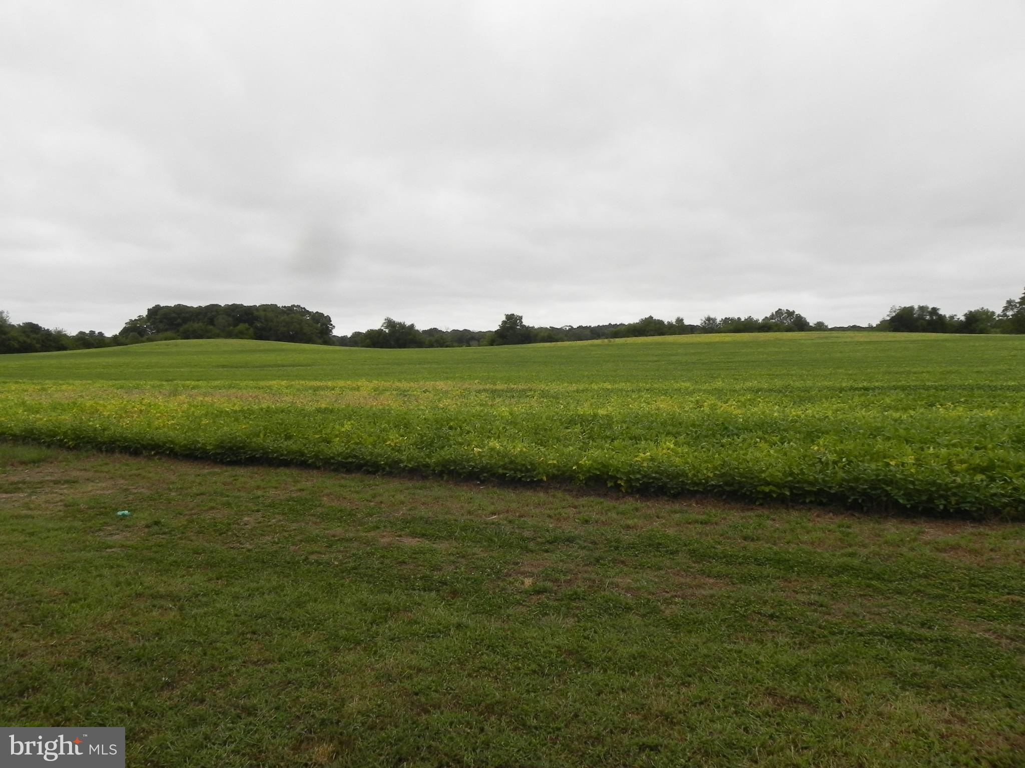 0 Sewall Road Bridgeton, NJ 08302 - Photo 3 of 17