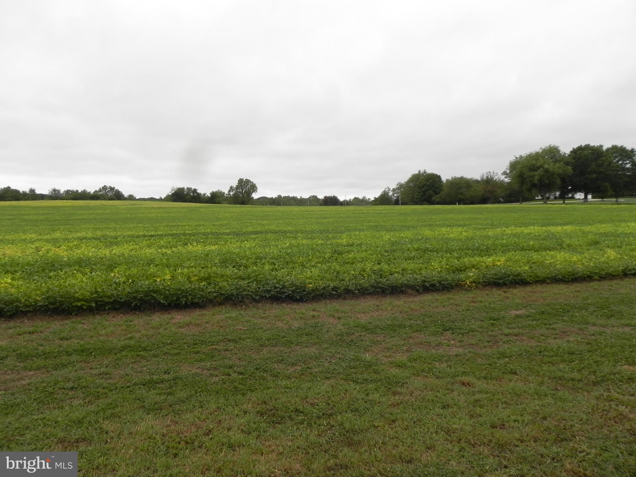 0 Sewall Road Bridgeton, NJ 08302 - Photo 4 of 17