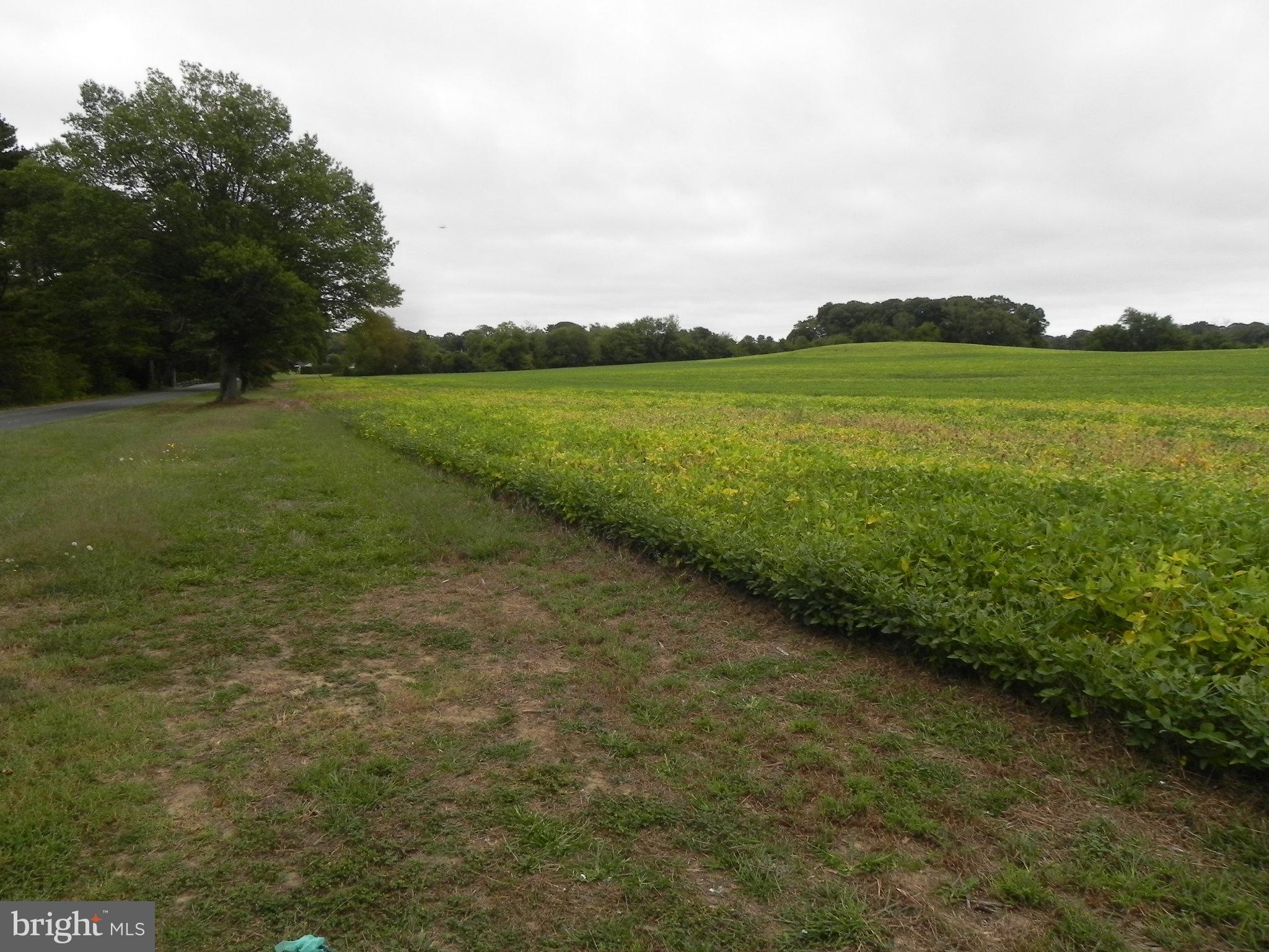 0 Sewall Road Bridgeton, NJ 08302 - Photo 6 of 17