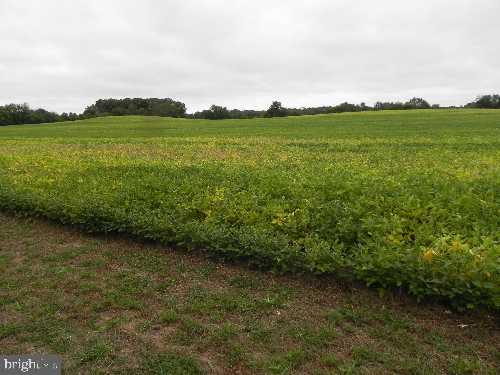 0 Sewall Road Bridgeton, NJ 08302 - Photo 7 of 17